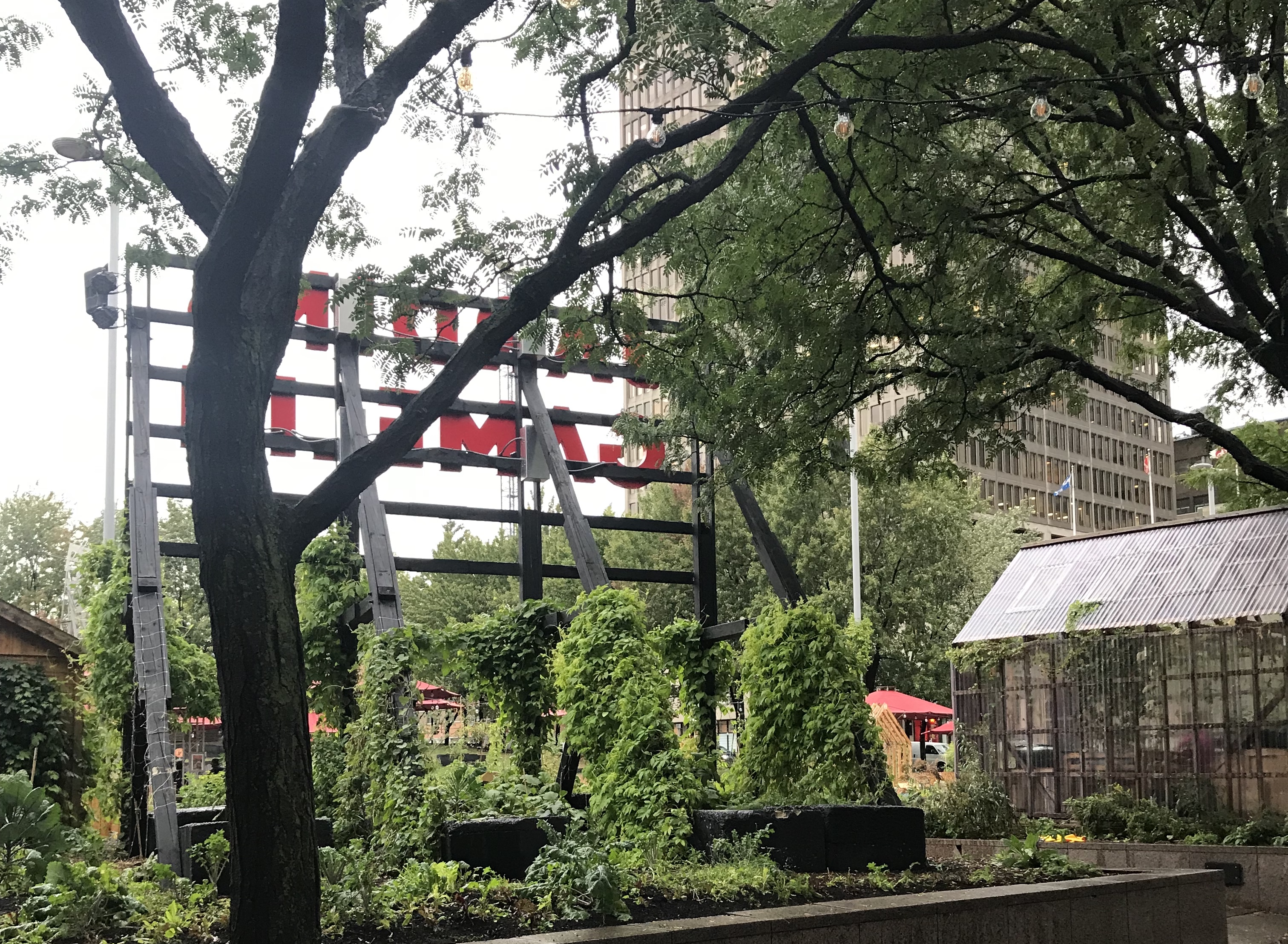 Sainte-Marie-Saint-Jacques : une jeune candidate pour le PVQ