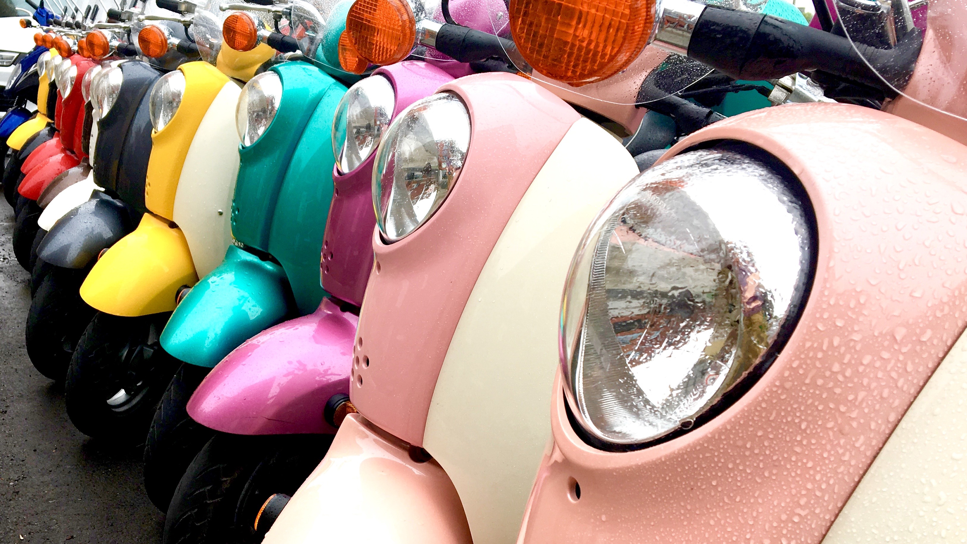 De quelle couleur sera le prochain gouvernement?