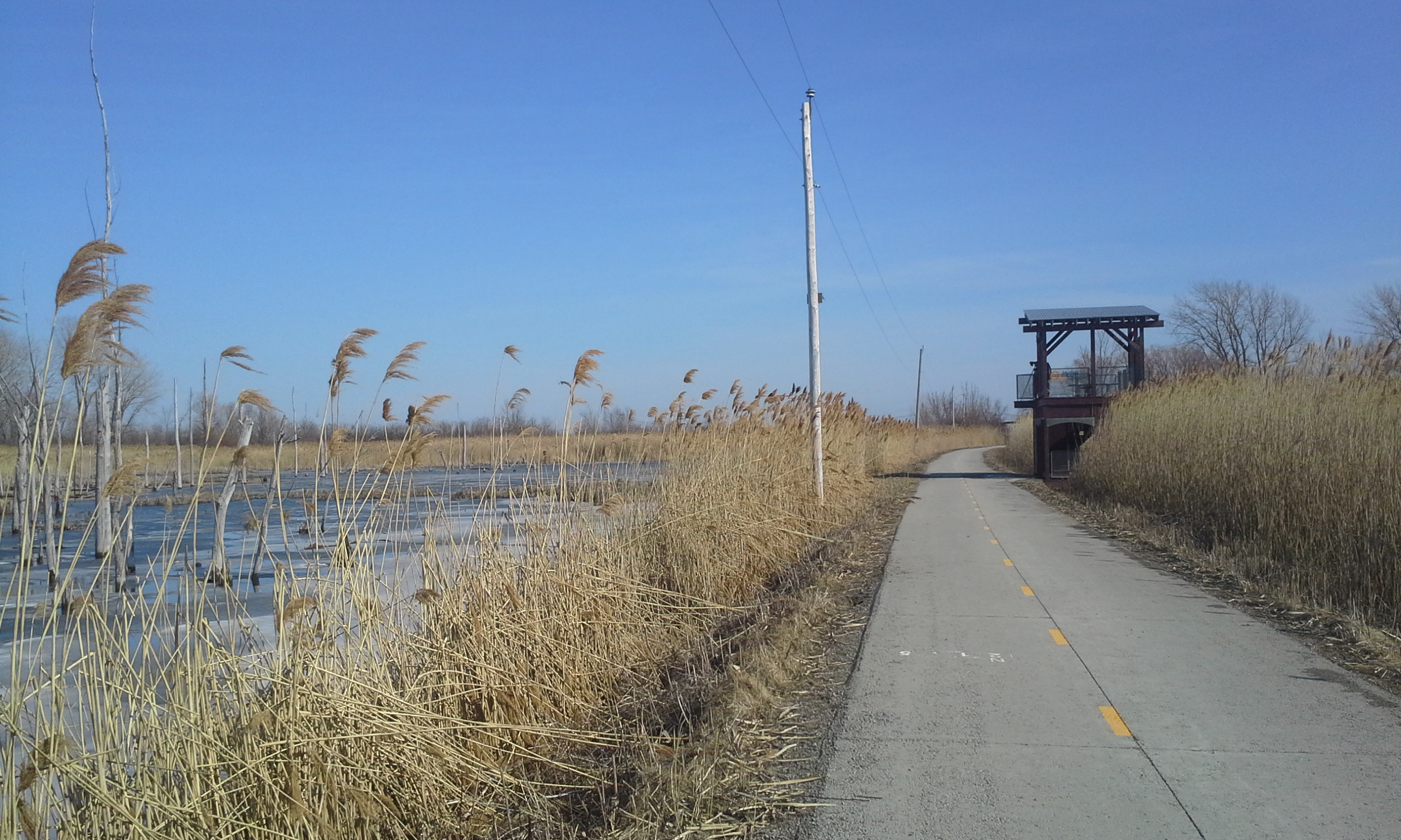 Le PQ dans Beauharnois: l'ambition d'une nouvelle candidate